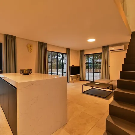 Art House * فيليكي درفينيك