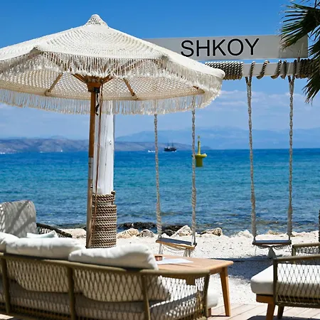 فيلة Art House *