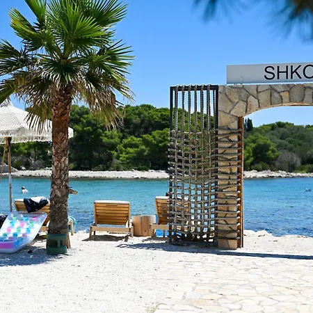 فيلة Art House فيليكي درفينيك