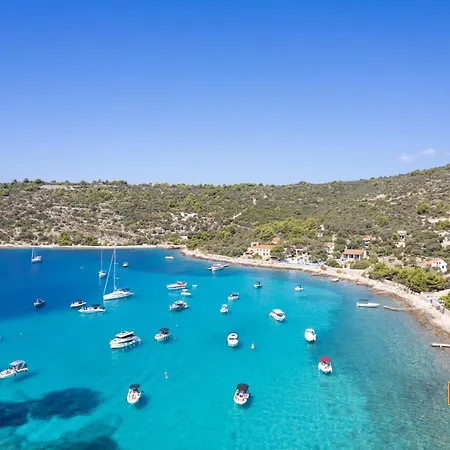 Art House فيليكي درفينيك