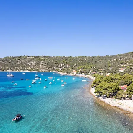 Art House فيليكي درفينيك