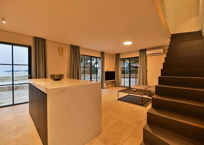 Art House * Veliki Drvenik