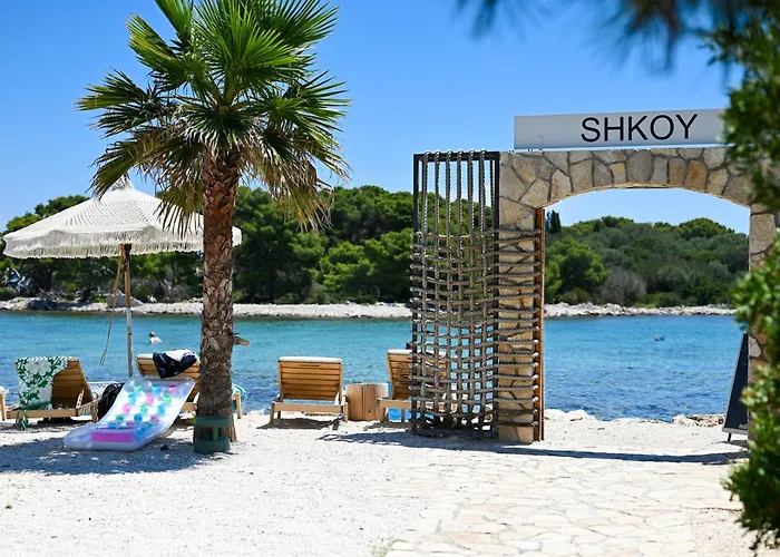 Βίλα Art House Veliki Drvenik