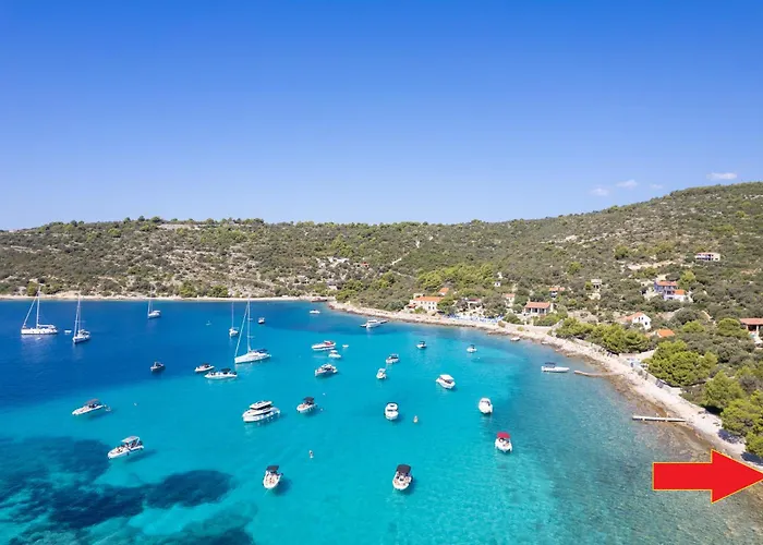 Art House Veliki Drvenik