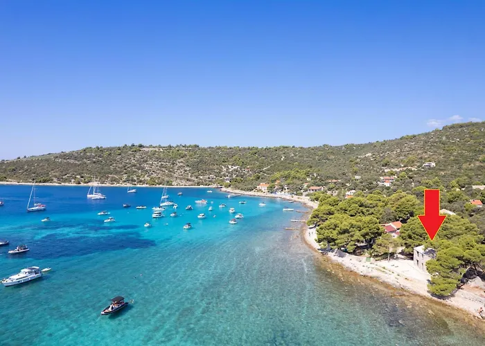 Art House Veliki Drvenik